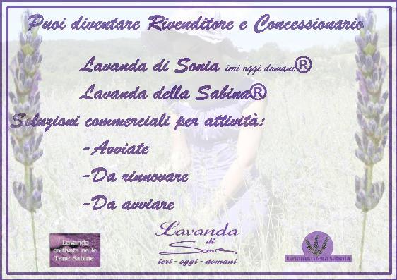 LAVORA CON NOI - LAVANDA DI SONIA